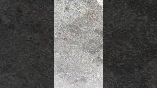 IMG 1110