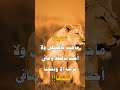 عمرها ماحت بالسهل ولا اجت بابحظ و ما في فرحه الا ودفعنا ثمنها تصميمي عبر 