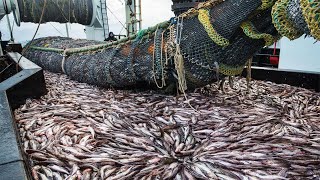 Life On Largest Midwater Trawl Vessel - Fishing trip on trawler the High Sea
