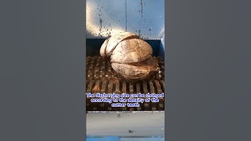 Coconut shell shredder machine