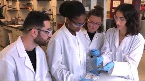 Smart Textiles, Future of Fashion