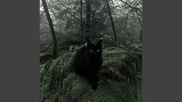 The Corrupted Stage Six