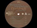 Me'Shell NdegéOcello ‎– Who Is He And What Is HeTo You (DT's NYDC Mix)