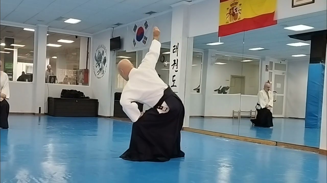 Aikido Sevilleja. Semana del 14 al 18 de Noviembre. Shomen Uchi.