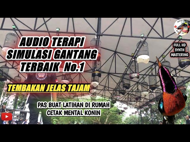 SIMULASI LOMBA KONIN AUTO Jadi SANGAR SEPERTI DI GANTANGAN !! LANGSUNG GACOR class=