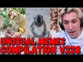 xQc Reacts To: &quot;UNUSUAL MEMES COMPILATION V228&quot;