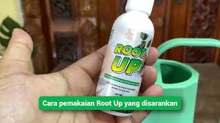 Cara Pakai Root Up  Duri Plant