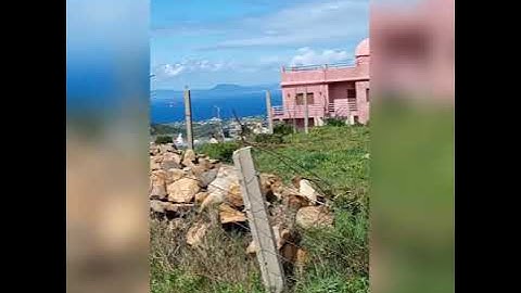 تلاوة خاشعة للقارئ الشيخ احمد النفيس من سورة الشعراء