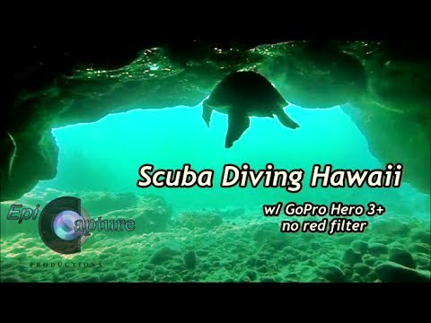 scuba-diving-hawaii-~-flying-with-turtles-~-gopro-hero-3+-no-red-filter
