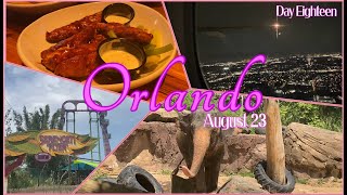 TRAVEL HOME DAY BA from Tampa plus Busch Gardens, Millers and a holiday roundup | Florida August 23