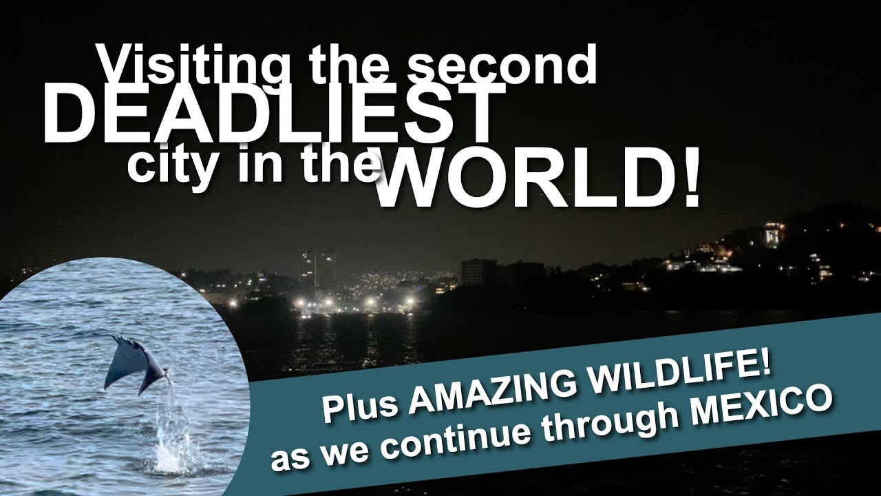 Visiting the second DEADLIEST City in the WORLD! plus AMAZING WILDLIFE! | Sailing with Six | S2 E15