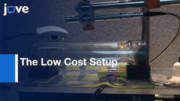 Behavioral Audiometry in Rodents: Cost-effective Approach| Protocol Preview