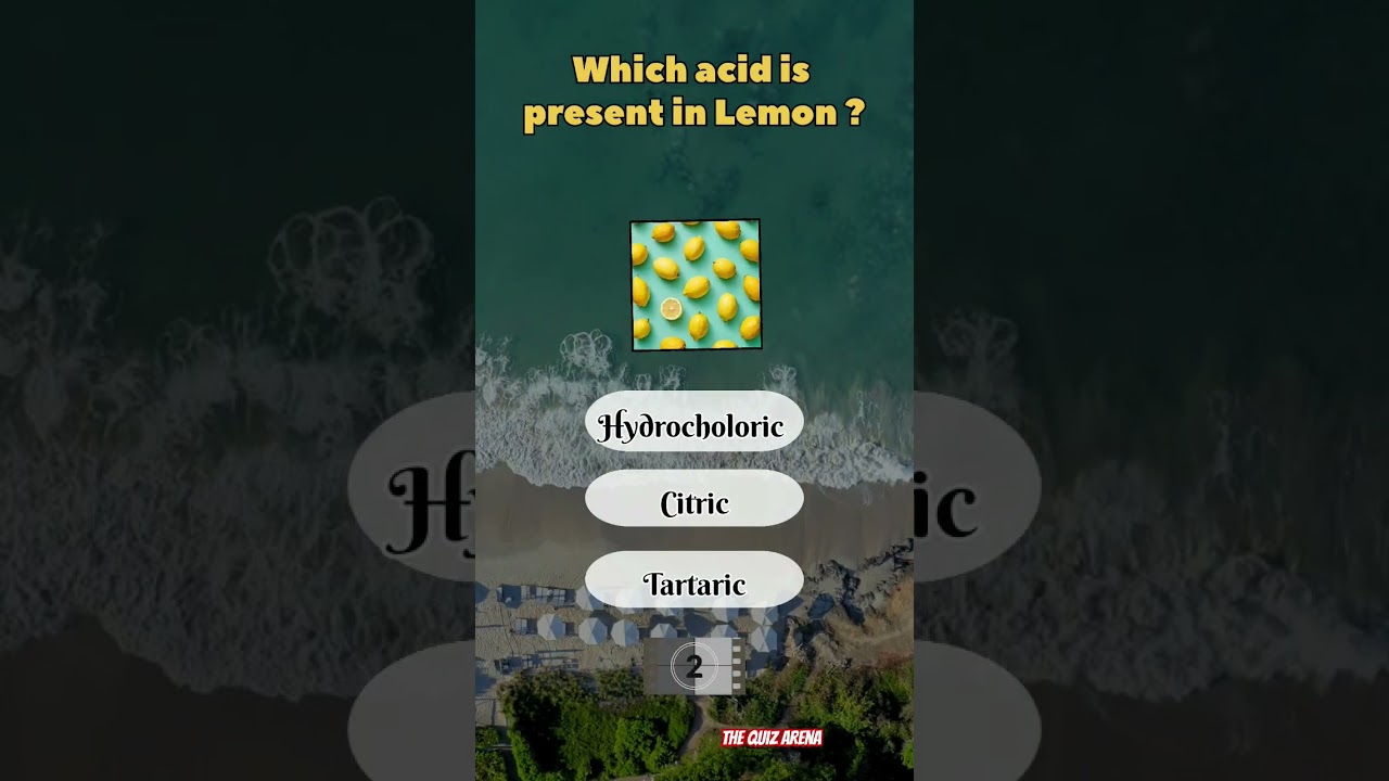 Food quiz. General knowledge quiz 2024. Food trivia 2024. Fun quiz 2024. 