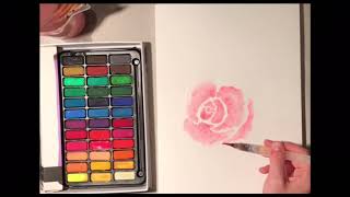 Aquarellfarben Rose malen einfach Anfänger