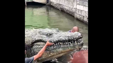 The Largest Crocodile That Even Sharks Avoid #shorts #wildlife