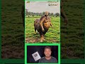 اغرب حلمه بجد ممكن تشوفها كامري اكسبلور Fypシ Viralシ ضحك محركات Comedy اغرب حلمه بجد ممكن تشوفها كامري اكسبلور Fypシ Viralシ ضحك محركات Comedy