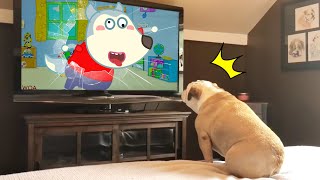 Funny Dog Reaction to Wolfoo From TV - Funniest Cats And Dogs Videos | Wolfoo in Real Life