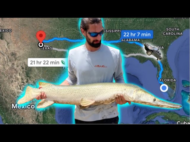 Mad katz Rod Review alligator gar 6ft 9inch 