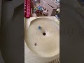 Marble run HABA wooden wave slope #marblerun