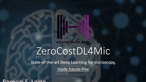 Romain Laine - ZeroCostDL4Mic: state-of-the-art deep learning for microscopy, made hassle-free