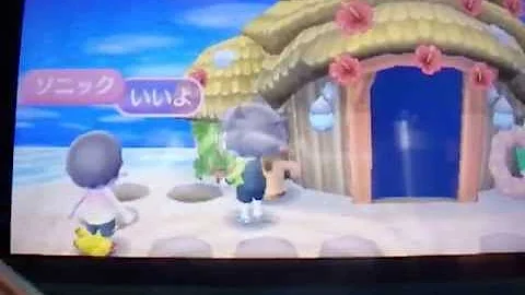 تحميل どうぶつの森 南の島 バグ تحميل どうぶつの森 南の島 バグ