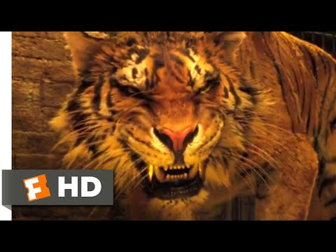 dolittle-(2020)---tiger-therapy-scene-(6/10)-|-movieclips