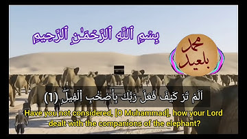 سورة الفيل | القارئ: محمد بلعيد surat Al-Fil | Mohammed Belaid