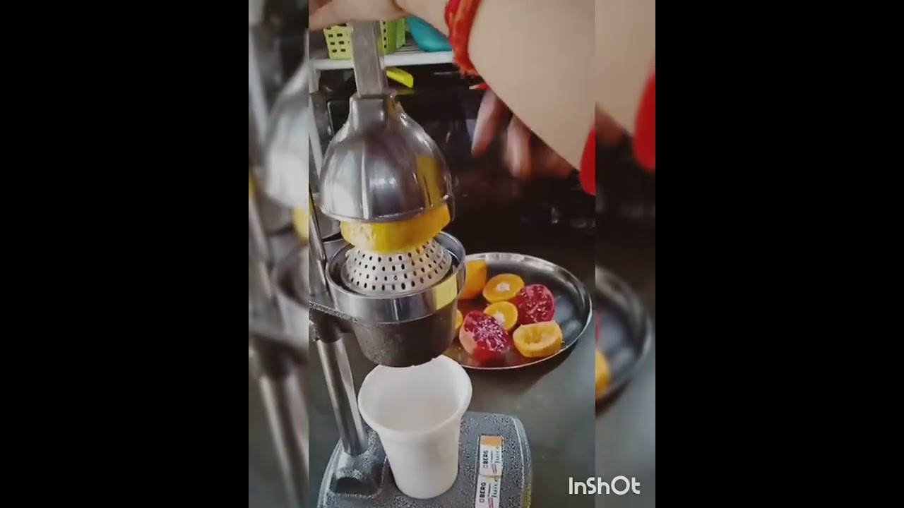 berg hand press juicer