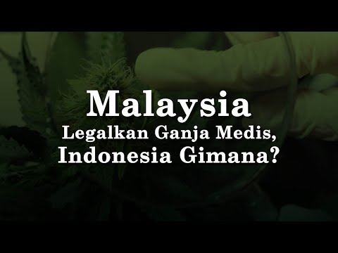 Malaysia Legalkan Ganja untuk Medis, Indonesia Kapan ❓❓❓