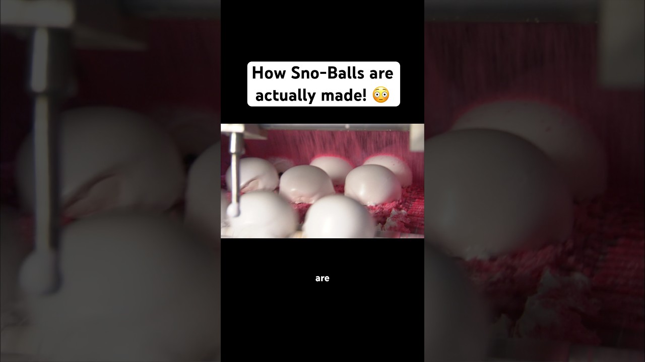 How Sno-Balls are actually made! 😳 