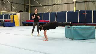 Adults Gymnastics  Introduction to handstands for beginners