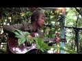 Elusive - Scott Matthews @ Bushstock '14