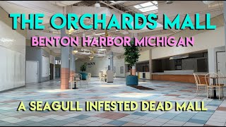 THE ORCHARDS MALL  BENTON HARBOR MICHIGAN  SEAGULL INFESTED DEAD MALL