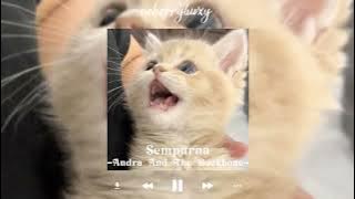 Andra and the Backbone - Sempurna 「speed up」