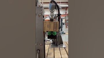 A hit at the "box office" 🏆📦