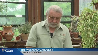 Gardening tips for when it’s too wet to be in the garden