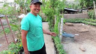 Sotang Organic Farm, Basantatar, Dharan