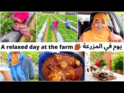 اخيرا طلعنا  من الحبسة ورحنا  لمزرعة الفراولة في A relaxed day at the strawberry farm 2021 🍓ملبورن