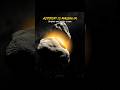 Asteroid 20 Massalia Opposition | March 22 😱🫨#shorts #space #asteroid ##science
