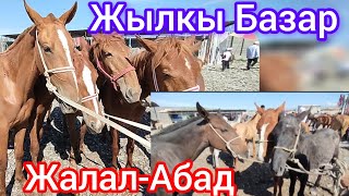 Жылкы Базар Жалал-Абад