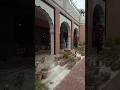 SubhnAllah #newshorts #imrankahn #multan #raindays #viralvideo