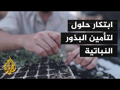 أصوات من غزة| شقيقان يعملان على استصلاح الأراضي الزراعية في بيت لاهيا