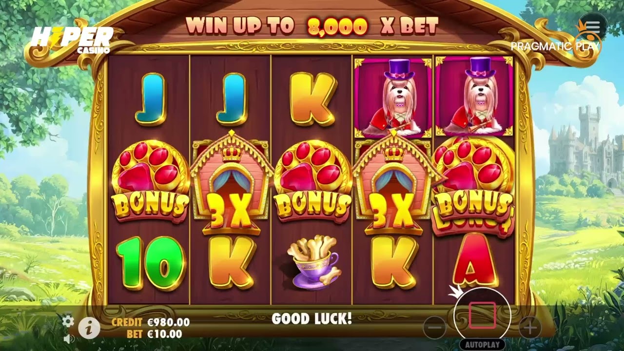 link vao bet365 moi nhat ✨ The Dog House Royal Hunt Hiper Casinoda seni bekliyor!