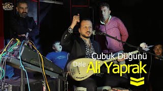 Ali Yaprak - Dale  ( Akkuzulu Düğünü ) 2023