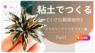 【ポリマークレイ】ミニチュア観葉植物|パート1|カラテア|ストロマンテトリオスターの作り方