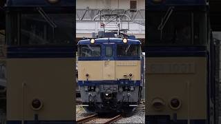 E231系800番台AT入場配給／EF64牽引