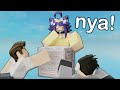 The roblox catgirl animation