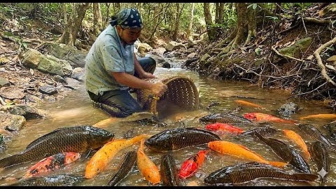 The Man Into Forest to Catch Fish – A Journey of Living with Nature | Triệu Hưng