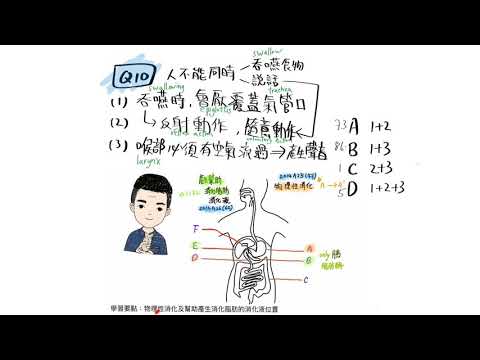 DSE BIO 溫溫會厭 ｜ DSE BIO2020A10 不能同時吞嚥及說話的原因