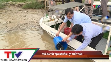 Thả cá tái tạo nguồn lợi thủy sản